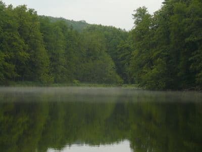 Возле Шелеховского озера вам гарантирован спокойный отдых - толп туристов здесь нет, вода чистая и незамутненная. 
