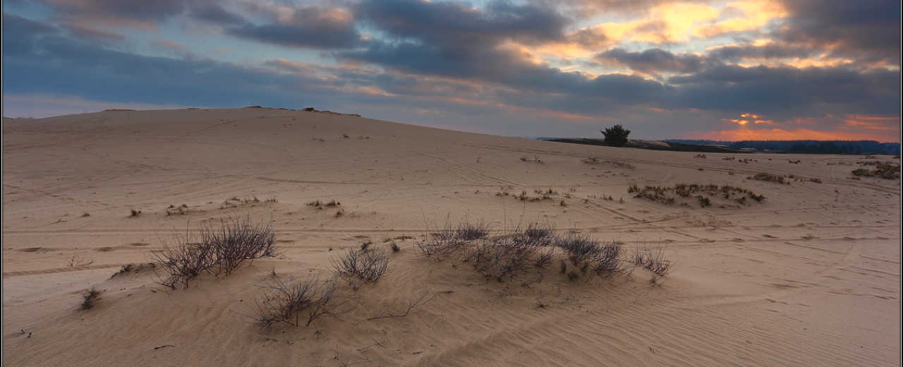  Кицевская пустыня - уникальный природный памянтик Украины, где можно отдохнуть и "словить" дзэн.
