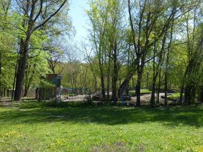 голосеевский парк картинг
