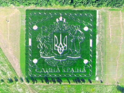 парк развлечений «Кукулабия». Лабиринт в кукурузном поле с высоты. Надпись на кукурузном поле "Єдина країна".