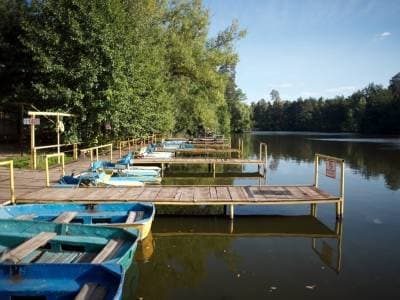Пуща Водица – прекрасное место для отдыха недалеко от Киева