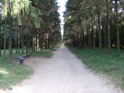 Краснокутский дендропарк парковая дорога