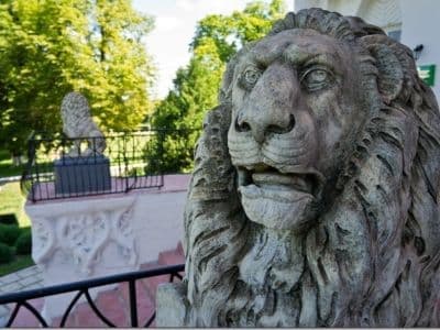Чернятинский дворец скульптура льва
