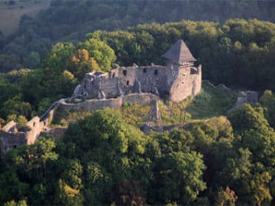 Невицкий замок вид