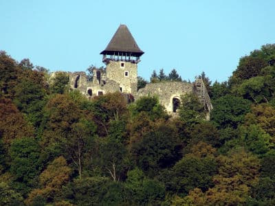Невицкий замок закарпатская область