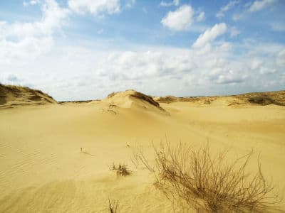 Алешковский песчаный массив находятся в Херсонской области.