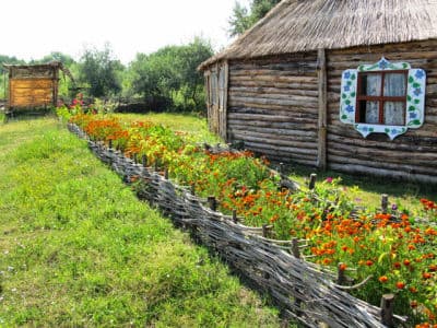 Зеленые хутора Таврии – комплекс отдыха, который идеально подойдет для семейного отдыха весной или летом.