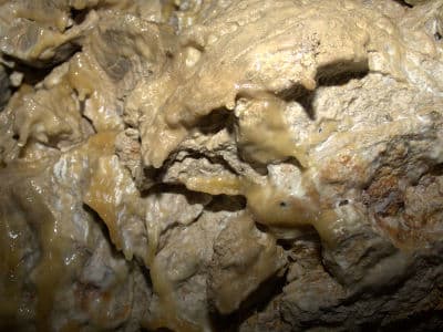 Завораживающая многолетняя пещера Млынки в Тернопольской области
