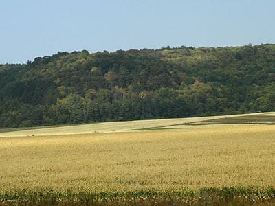Гора Богит - место силы с времен Киевской руси в заповеднике "Медоборы" Тернопольской области.
