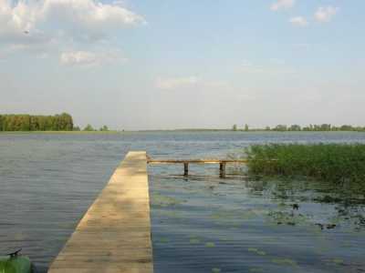 Уникальный водоем считается жемчужиной Полесья. Озеро славится природой и достаточно чистой водой. В последнее время наблюдается активный рост инфраструктуры. Общая площадь Нобеля составляет около 800 гектар. 