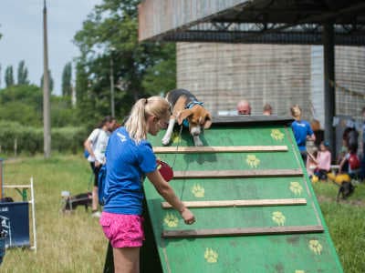 24 июня Фонд помощи бездомным животным «Happy Paw» проведет уже Третий Благотворительный «Забег с собаками», который состоится на территории парка Муромец (парк Дружбы народов) в Киеве.