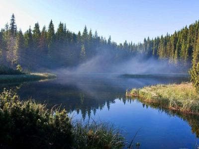 Сказочное тихое озеро Маричейка в Ивано-Франковских Карпатах. Отзывы посетителей.