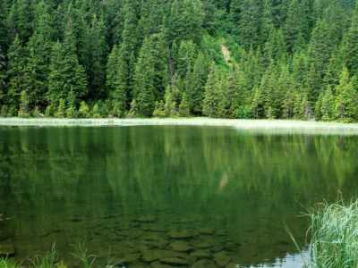озеро носит называние Маричейка, а окружающая местность Девичьей.