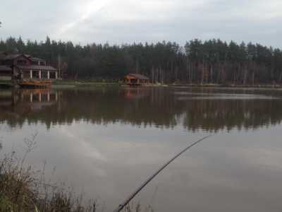 Рыбалка с комфортом в загородном комплексе «Чарівне озеро» в Коростышеве. 