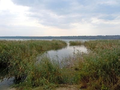 Озеро Ялпуг - самое большое озеро Украины.