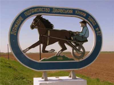 Дубровский конный завод №62. Отзывы посетителей.
