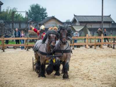 На Киевщине покажут редких древних животных на фестивале "Мир лошадей"