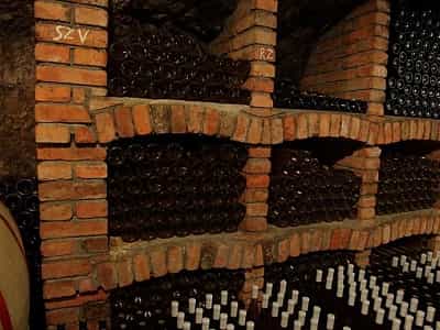 Дегустационный зал семьи Урста - отличное место, где можно попробовать высококачественные Закарпатские вина. 