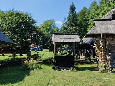 Простора територія, присвячена традиціям та культурі Буковини – це описує популярний серед туристів Музей народної архітектури та побуту в Чернівцях.