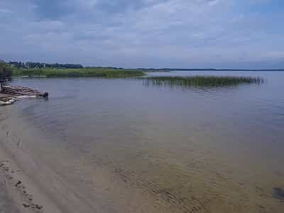 Озеро Пулемецкое расположено на юго-западном Полесье в Шацком районе Волынской области. Оно является карстовым озером. Озеро славится разнообразием растительного покрова как под водой, так и на поверхности.