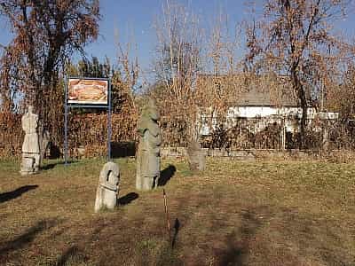 Запорожский дуб - уникальный ботанический памятник, представляющий историческую и культурную ценность.