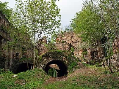Добромильский замок - памятник архитектуры 16 века, расположенный на Слепой горе, посреди букового леса, что возле городка Добромиля.