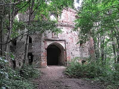 Руины Добромильского замка рода Гербуртов на Львовщине