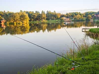 Рыбалка в загородном комплексе "Шепольская" во Львовской области. 