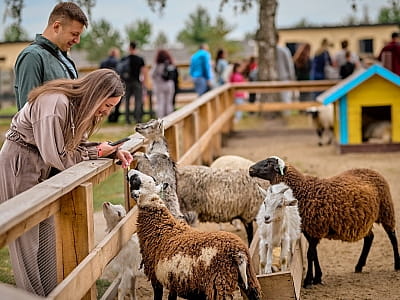 Зоопарк в Семейном Экопарке Ясногородка 