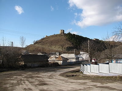 Висечский замок в Тернопольской области