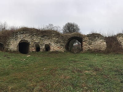 Залозецкий замок, даже в руинах, остается важным свидетелем прошлого, предлагая возможность окунуться в историю и почувствовать атмосферу средневековой крепости.