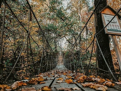 Парк природы "Беремицкое" - это идеальное место для отдыха на природе, где каждый найдет развлечение на свой вкус. От увлекательных экскурсий и активных прогулок до релакса на пляже и незабываемых праздников - здесь созданы все условия для комфортного отд