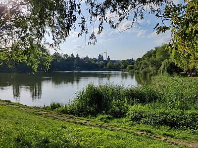 Озера в парке "Реформации" ("Октябрьский") в городе Черновцы 