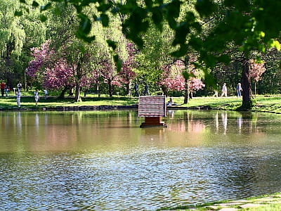 Парк Шенборна - образец европейского паркового искусства на Закарпатье