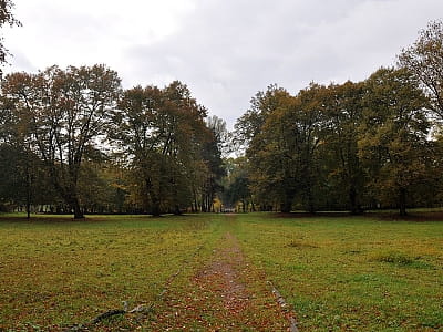 Оброшинский дендропарк во Львовской области