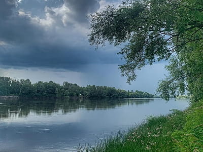  Река Десна в загородном комплексе "Shambala Wellness Club" 