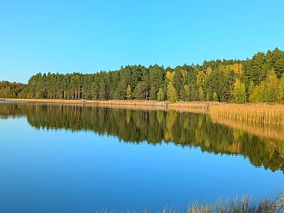 Озеро Тростное на Волыни также известно как Тросниковое или Тростяное