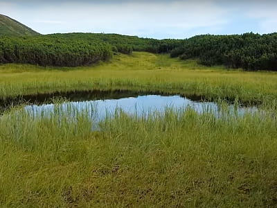 Озеро Брескулец - небольшое ледниковое озеро в Карпатах