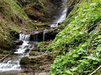 Водопад Лазный в Карпатах - трехкаскадный водопад среди густых лесов, отличное место для фото, прогулок и отдыха на природе.