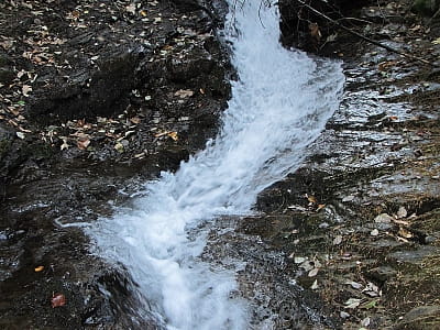 Водопад Правич - водопад на потоке реки Багонка вблизи села Мысловка