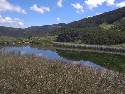 Озеро Рудишина - водоем на юго-восточных склонах горы Данциж