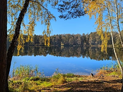 Озеро Засвинское - одно из живописных озер Волынской области, расположенное среди лесистых ландшафтов и заболоченных берегов.