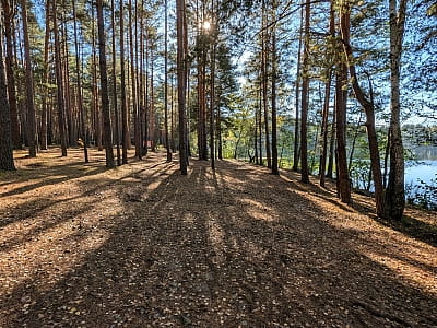 Озеро Засвинское (Засвидское) в Волынской области