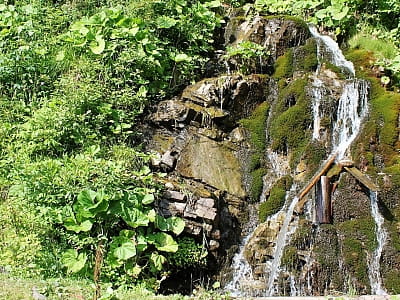 Откройте Кортузианский водопад в Буковинских Карпатах: живописный каскад, легенды, редкая флора и маршруты для невероятных приключений!