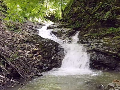 Водопад Нижний Гук в Карпатах - живописный двухкаскадный водопад возле села Ростоки. Идеальное место для отдыха, фото и прогулок по природе.