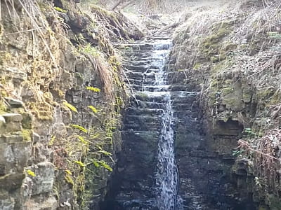 Посетите водопад Липники в урочище села Пороги. Уютная атмосфера, живописные тропы и прохладный ручей идеально подходят для отдыха и фото.