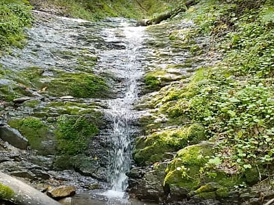 Водопад Волейцы Нижний - дикая красота Карпат в Косовском районе