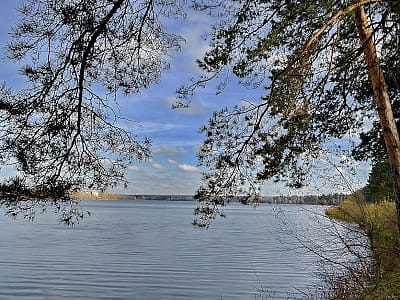 Самое большое озеро Киева — Алмазное. Идеальное место для рыбалки, прогулок и пикников. Озеро с уникальной природой и интересной историей.