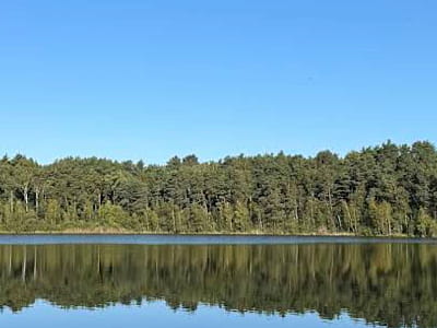 Озеро Бережистое - одно из самых глубоких озер Волыни, спрятанное среди живописных лесов Ковельского района. 