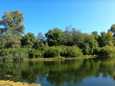 Озеро Березка в Гидропарке — идеальное место для рыбалки, пляжного отдыха и прогулок на природе в центре Киева, всего в 10 минутах от метро.